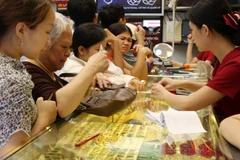 (Ảnh minh họa. Trần Việt/TTXVN)