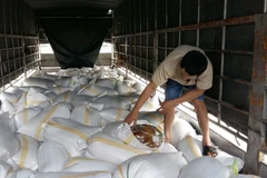 (Ảnh minh họa. Duy Hưng/TTXVN)