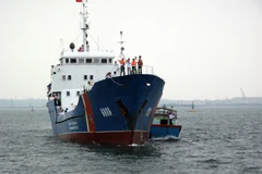 (Ảnh minh họa. Đăng Lâm/TTXVN)