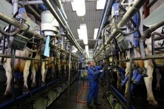 Ảnh minh họa. (Nguồn: PA)