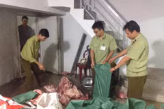 (Ảnh minh họa. Đức Phương/TTXVN)