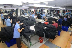 (Ảnh: Vũ Sinh/TTXVN)