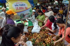 (Ảnh minh họa. Mạnh Linh/TTXVN)