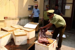 (Ảnh minh họa. Duy Hưng/TTXVN)