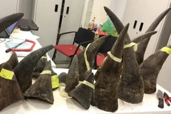 Ảnh chỉ có tính chất minh họa. (Nguồn: TTXVN) 