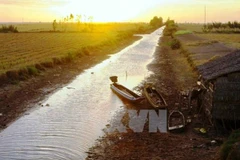 Ảnh minh họa. (Nguồn: TTXVN) 