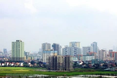 Ảnh minh họa. (Nguồn: TTXVN) 