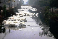 Những tảng bọt trên kênh A48. (Ảnh: Thanh Tuấn/TTXVN)