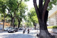 Ảnh chỉ có tính minh họa. (Nguồn: TTXVN)