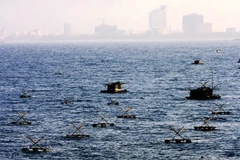 Ảnh chỉ có tính chất minh họa. (Nguồn: TTXVN) 