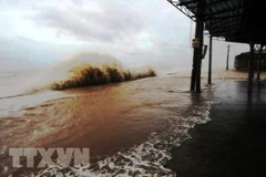 Ảnh minh họa. (Nguồn: TTXVN) 