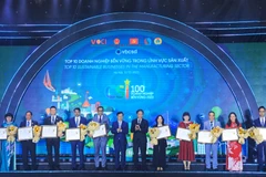 Trưởng ban Kinh tế Trung ương Trần Tuấn Anh và Chủ tịch VCCI Phạm Tấn Công cùng Top10 Doanh nghiệp bền vững lĩnh vực sản xuất 2023. (Ảnh: Vietnam+)