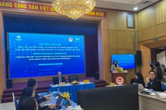 Phần nhiều các doanh nghiệp chưa xác định được mục tiêu và chiến lược chuyển đổi số đúng đắn. (Ảnh: Vietnam+)