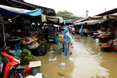 (Ảnh minh họa: Trịnh Bang Nhiệm/TTXVN)