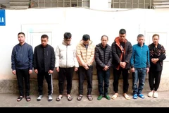 Các đối tượng bị bắt giữ về hành vi tổ chức đánh bạc và đánh bạc qua mạng. (Ảnh: TTXVN phát)