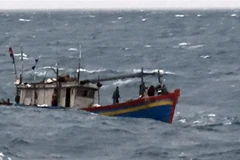 (Ảnh minh họa: Minh Huệ/TTXVN)