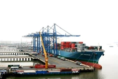 Tàu vào bốc dỡ hàng hóa tại Cảng Cái Mép-Thị Vải, tỉnh Bà Rịa-Vũng Tàu. (Ảnh: Hoàng Nhị/TTXVN)