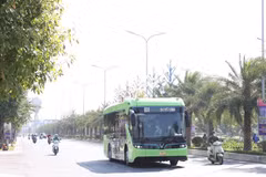 Các tuyến xe buýt điện của VinBus đều nằm trong hệ thống giao thông công cộng chung của thành phố, kết nối khu vực đông dân cư. (Ảnh: Hoài Nam/Vietnam+)