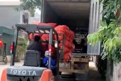 Vận chuyển cà rốt lên xe container đưa đi tiêu thụ tại huyện Cẩm Giàng. (Ảnh: Mạnh Tú/TTXVN)