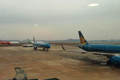 Máy bay của các hãng hàng không tại một sân bay. (Ảnh: Việt Hùng/Vietnam+)