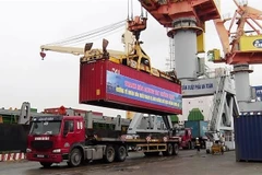 22 container với khối lượng hàng hóa lên tới gần 600 tấn được vận chuyển lên tàu biển của VIMC để đưa vào Thành phố Hồ Chí Minh. (Ảnh: CTV/Vietnam+)