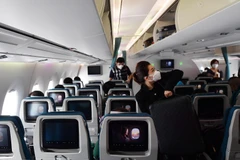 Một số chặng bay nội địa đã ghi nhận lượng hành khách đặt chỗ đông và gần kín ghế. (Ảnh: CTV/Vietnam+)