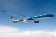 Tàu bay thân rộng thế hệ mới nhất của hãng hàng không Vietnam Airlines được sử dụng đường bay Hà Nội-Thành phố Hồ Chí Minh. (Ảnh: CTV/Vietnam+)