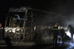 (Ảnh minh họa: Thế Lập/TTXVN)