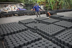 (Ảnh minh họa: Trọng Đạt/TTXVN)