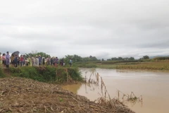 (Ảnh minh họa: Xuân Tiến-TTXVN)