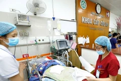 (Ảnh minh họa: Dương Ngọc/TTXVN)