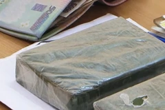 (Ảnh minh họa: Xuân Tư/TTXVN)