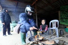 (Ảnh minh họa: Phan Tuấn Anh/TTXVN)