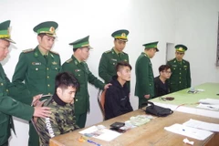 (Ảnh: Trung Nguyên/TTXVN)