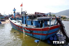 Tàu Trung Quốc uy hiếp, đâm chìm tàu cá Việt Nam là vô nhân đạo 