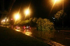 Hà Nội: Mưa lớn kèm giông "hạ gục" nhiều cây xanh, biển quảng cáo 