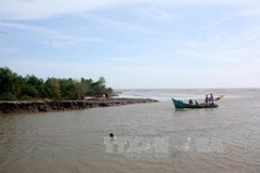 USAID tiếp tục hỗ trợ quy hoạch đô thị thích ứng biến đổi khí hậu 