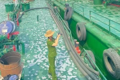 Lực lượng chức năng kiểm tra, khám xét với phương tiện liên quan. (Nguồn: Báo Pháp luật Thành phố Hồ Chí Minh)