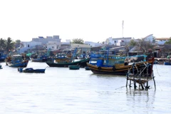 (Ảnh minh họa: Hồng Đạt/TTXVN)