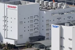 (Nguồn: Nikkei Asia)