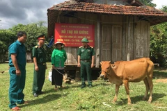 Ban Chỉ huy Quân sự huyện Sông Hinh (Phú Yên) triển khai chương trình tặng bò giống cho đồng bào dân tộc thiểu số xuyên suốt những năm qua, góp phần cùng địa phương giảm nghèo bền vững. (Ảnh: TTXVN phát)