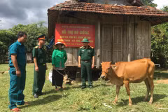 Ban Chỉ huy Quân sự huyện Sông Hinh (Phú Yên) triển khai chương trình tặng bò giống cho đồng bào dân tộc thiểu số xuyên suốt những năm qua, góp phần cùng địa phương giảm nghèo bền vững. (Ảnh: TTXVN phát)
