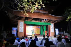 Ảnh minh họa. (Ảnh: Thể Duyệt/TTXVN)