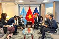 Đại sứ Đặng Hoàng Giang tiếp bà Julie Bishop. (Ảnh: Thanh Tuấn/TTXVN)