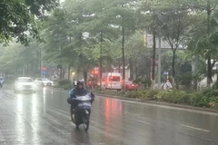 Từ đêm 30/4 đến ngày 1/5, Bắc Bộ và khu vực Thanh Hóa-Nghệ An có mưa rào và dông rải rác. (Ảnh: TTXVN)