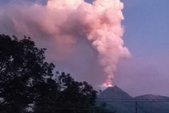Cột tro bụi phun lên từ núi lửa Lewotobi Laki-laki tại Flores Timur, tỉnh Đông Nusa Tenggara (Indonesia), ngày 11/1/2024. (Ảnh: AFP/TTXVN)