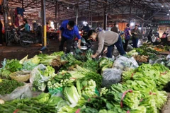 Tiểu thương ở chợ Phùng Khoang, quận Nam Từ Liêm (Hà Nội) chuẩn bị nguồn rau xanh phục vụ người dân. (Ảnh: Vũ Sinh/TTXVN)