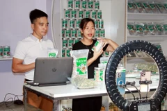 Ảnh minh họa. (Ảnh: Nguyễn Lành/TTXVN)