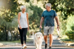 Chỉ cần đi bộ vài lần mỗi tuần có thể giúp bạn cải thiện sức khỏe cột sống. (Nguồn: Shutterstock/The Conversation)