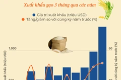 Giá trị xuất khẩu gạo của Việt Nam tăng 40% trong ba tháng đầu năm